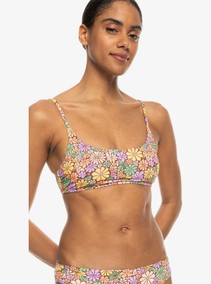 Roxy All About Sol Bralette Bikini Tops | 23917-UMBQ