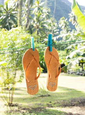 Roxy Antilles Flip Flops | 20948-LQWX