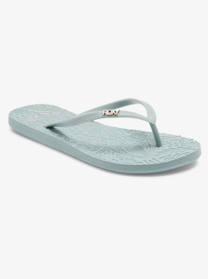 Roxy Antilles Flip Flops | 81529-FEUT