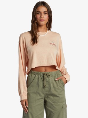 Roxy Palm Arcana Cropped Oversized Long Sleeve Hoodie | 87529-SKWX