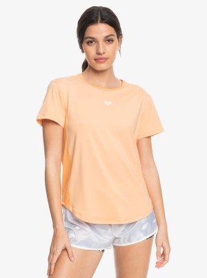 Roxy Pure Pursuit Mesh Tee Knit T-shirts | 59823-AGOF