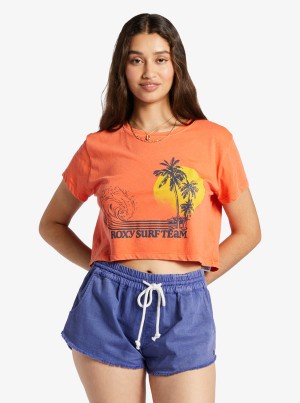 Roxy Retro Surf Team Sleeveless Muscle T-shirts | 18936-YLIO