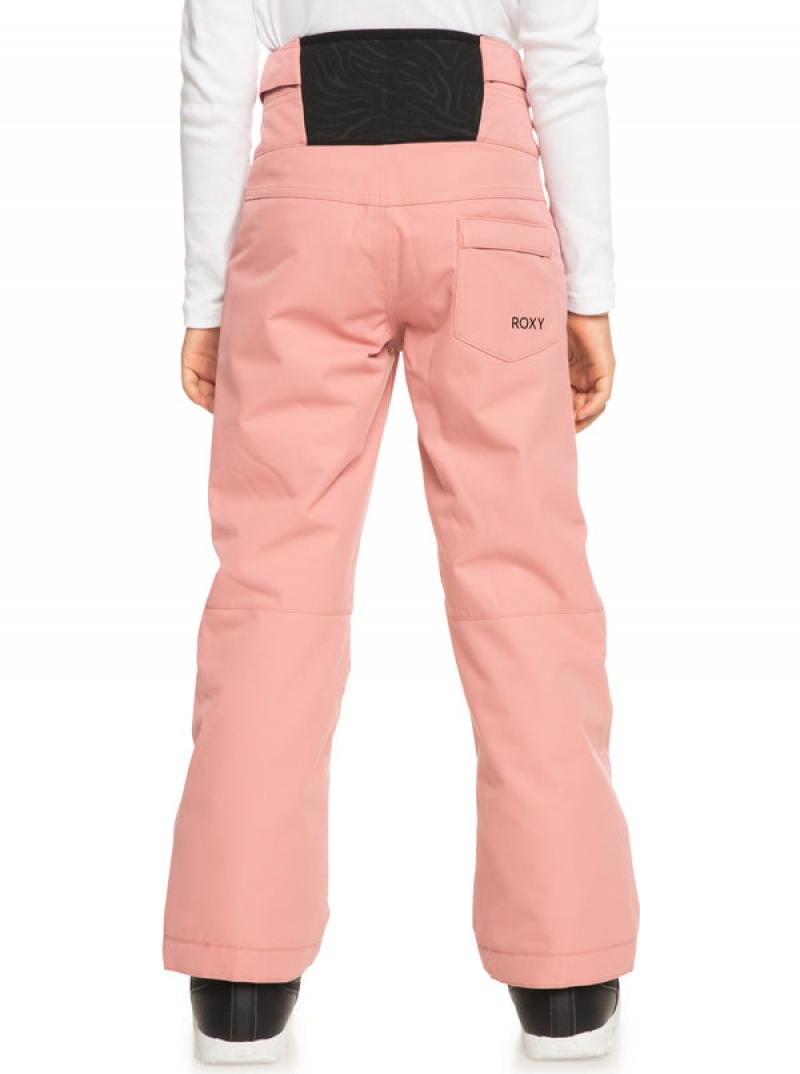 Girls' Roxy Diversion Technical Snowboard Pants | 09283-VWXU