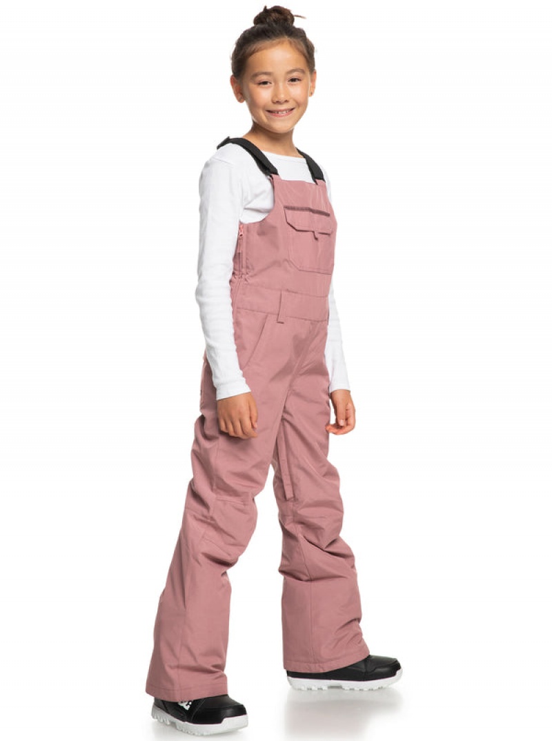 Girls' Roxy Non Stop Technical Bib Snowboard Pants | 31965-IGNE