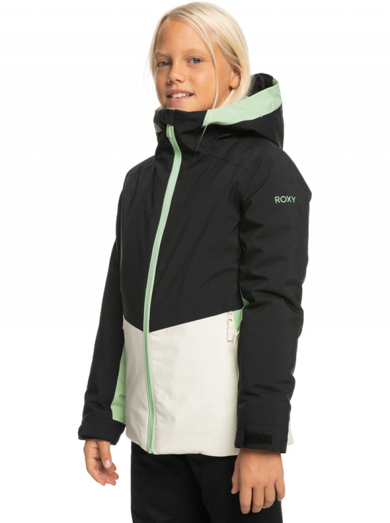 Girls' Roxy Silverwinter Technical Snowboard Jackets | 83761-FLUG