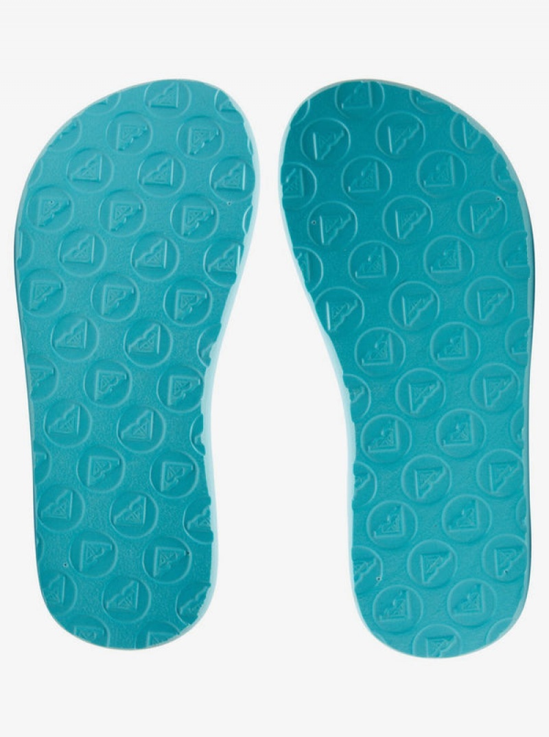 Girls' Roxy Vista Flip Flops | 30421-RXCD