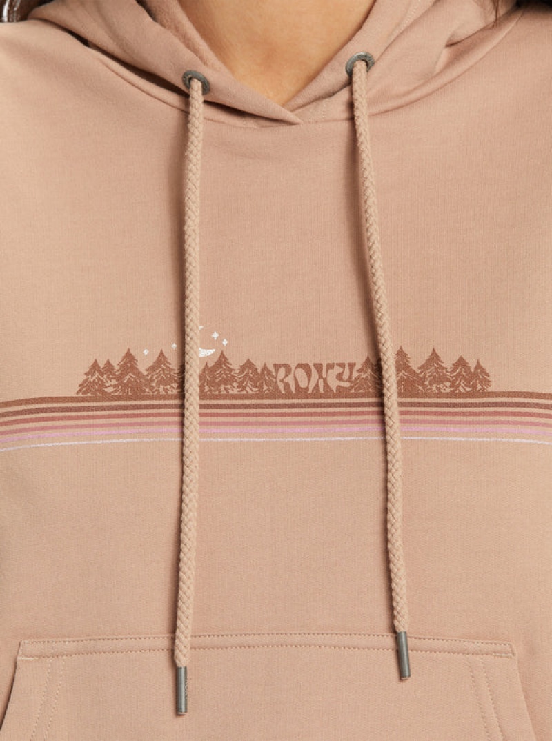 Roxy Afternoon Hike Hoodie | 04295-LBVG