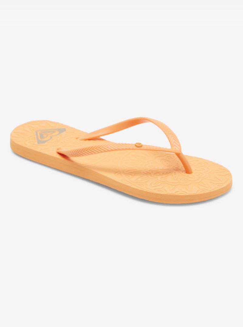 Roxy Antilles Flip Flops | 20948-LQWX