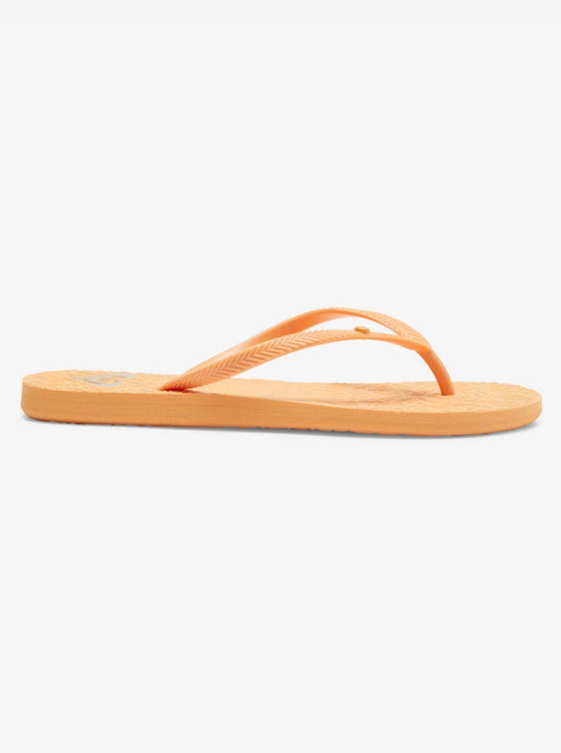 Roxy Antilles Flip Flops | 20948-LQWX