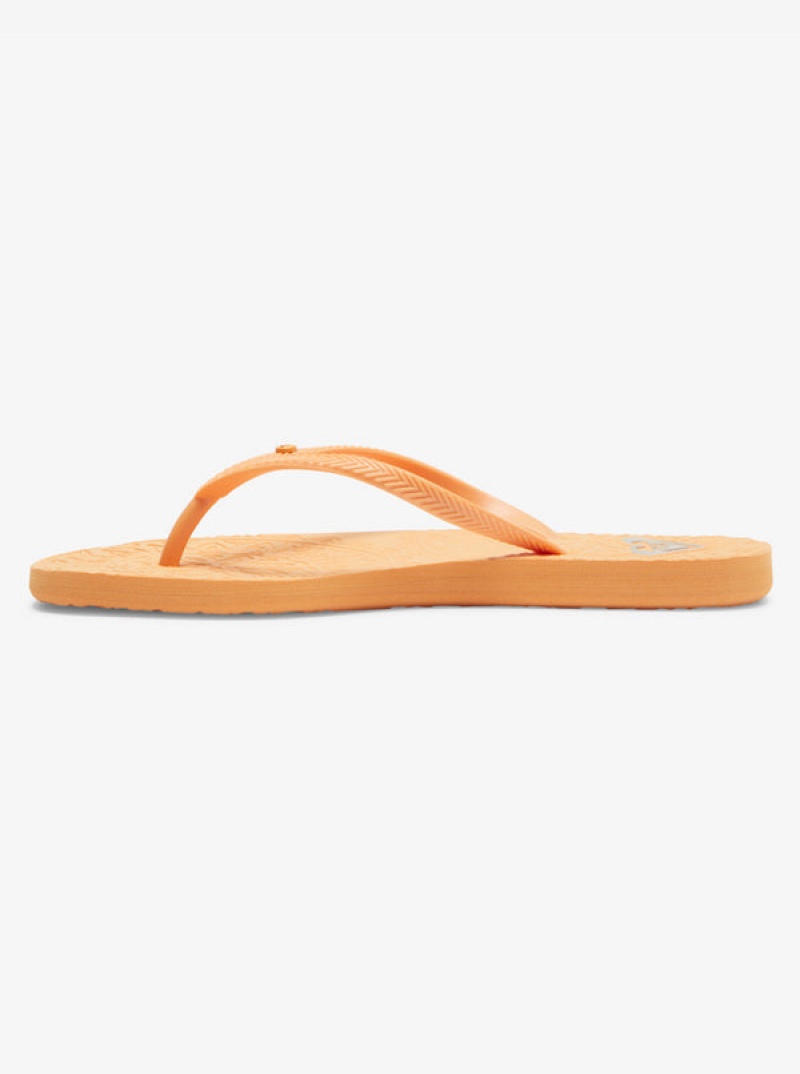 Roxy Antilles Flip Flops | 20948-LQWX