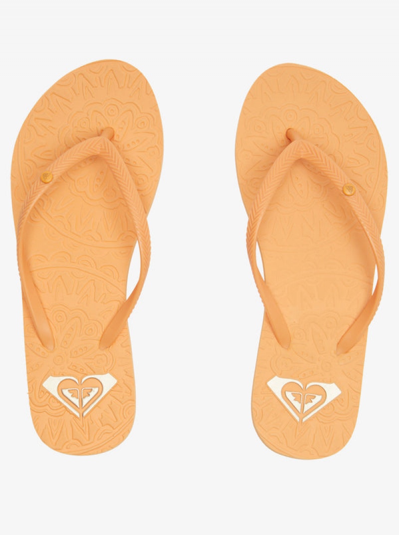 Roxy Antilles Flip Flops | 20948-LQWX