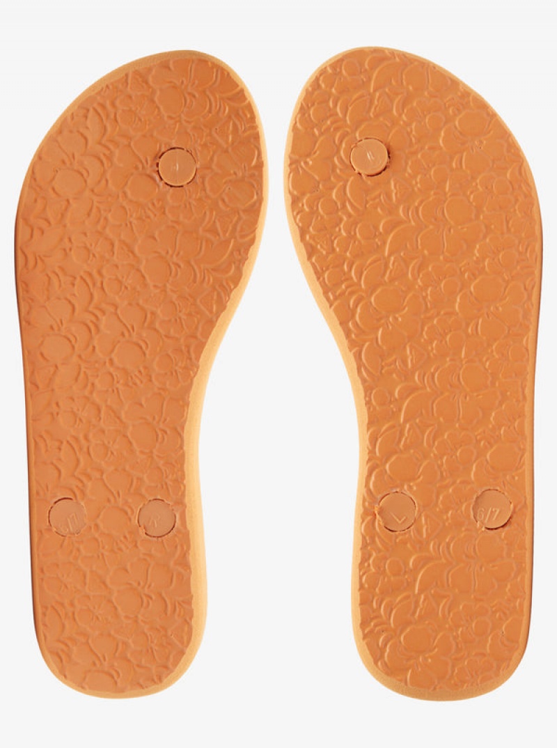 Roxy Antilles Flip Flops | 20948-LQWX