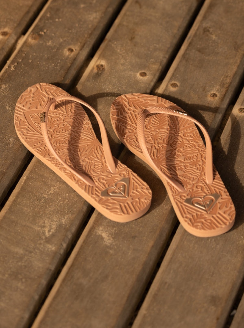 Roxy Antilles Flip Flops | 72650-HARD