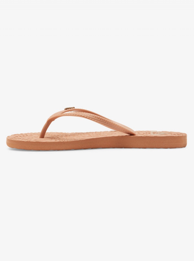 Roxy Antilles Flip Flops | 72650-HARD