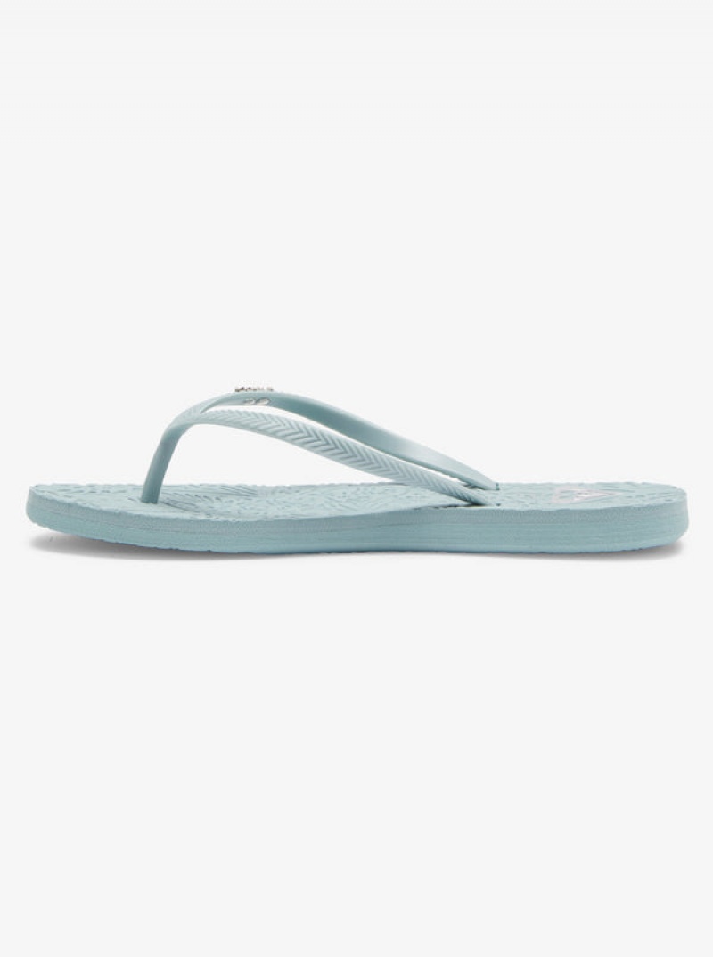 Roxy Antilles Flip Flops | 81529-FEUT