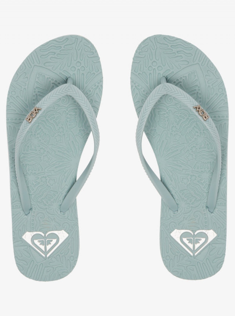 Roxy Antilles Flip Flops | 81529-FEUT