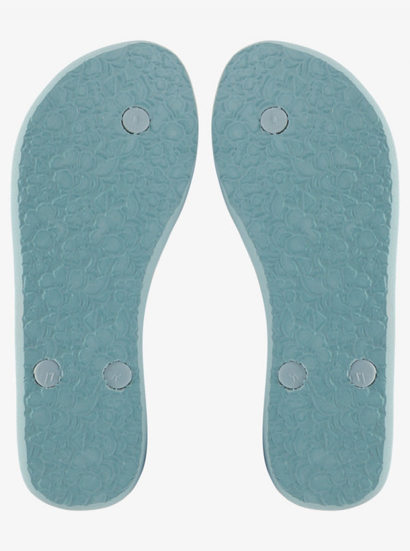 Roxy Antilles Flip Flops | 81529-FEUT