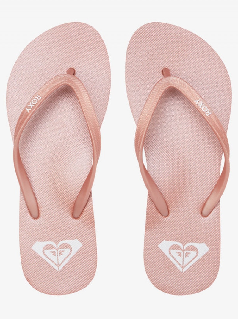 Roxy Azul Basic Flip Flops | 81236-KUEI