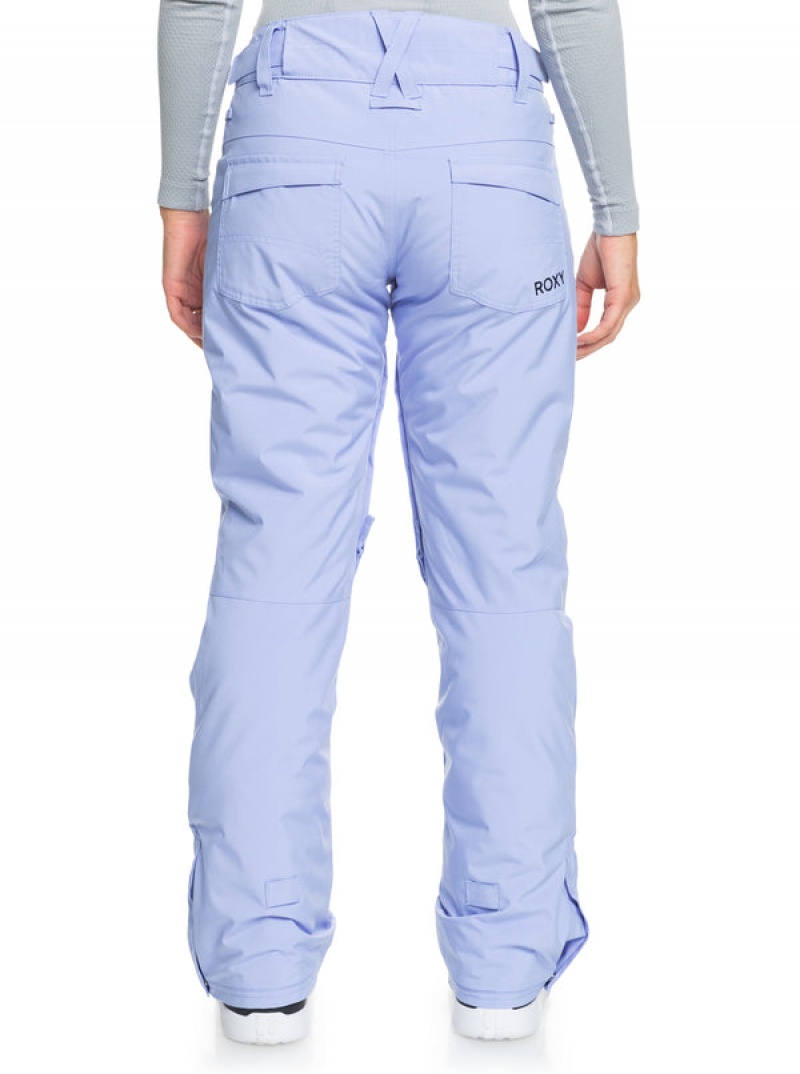 Roxy Backyard Technical Snowboard Pants | 53716-XACJ