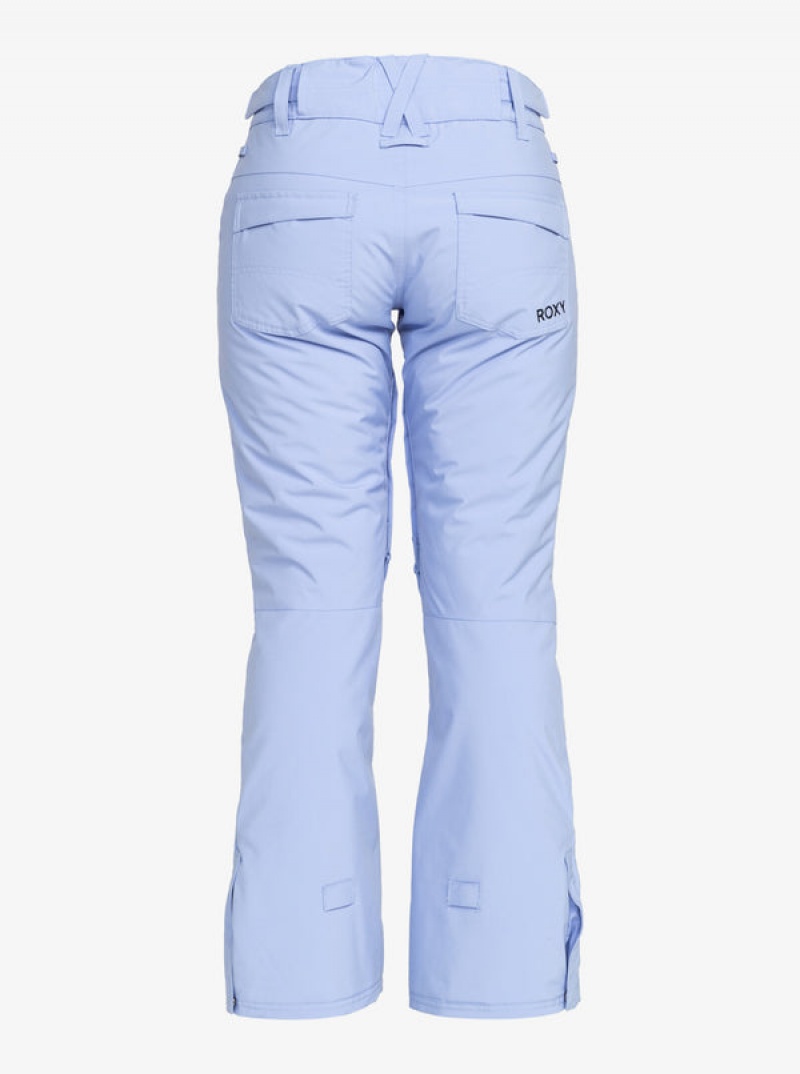 Roxy Backyard Technical Snowboard Pants | 53716-XACJ