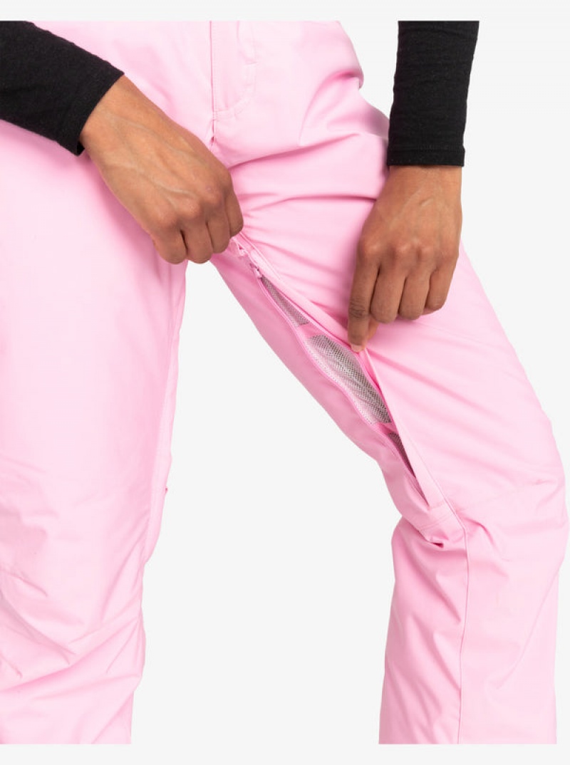 Roxy Backyard Technical Snowboard Pants | 30752-AITB