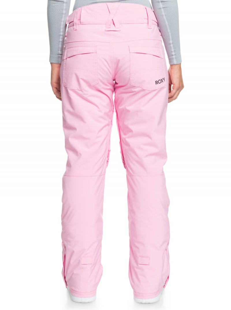 Roxy Backyard Technical Snowboard Pants | 30752-AITB