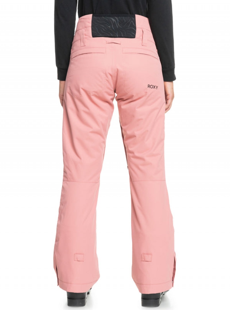 Roxy Diversion Technical Snowboard Pants | 24813-OJBZ