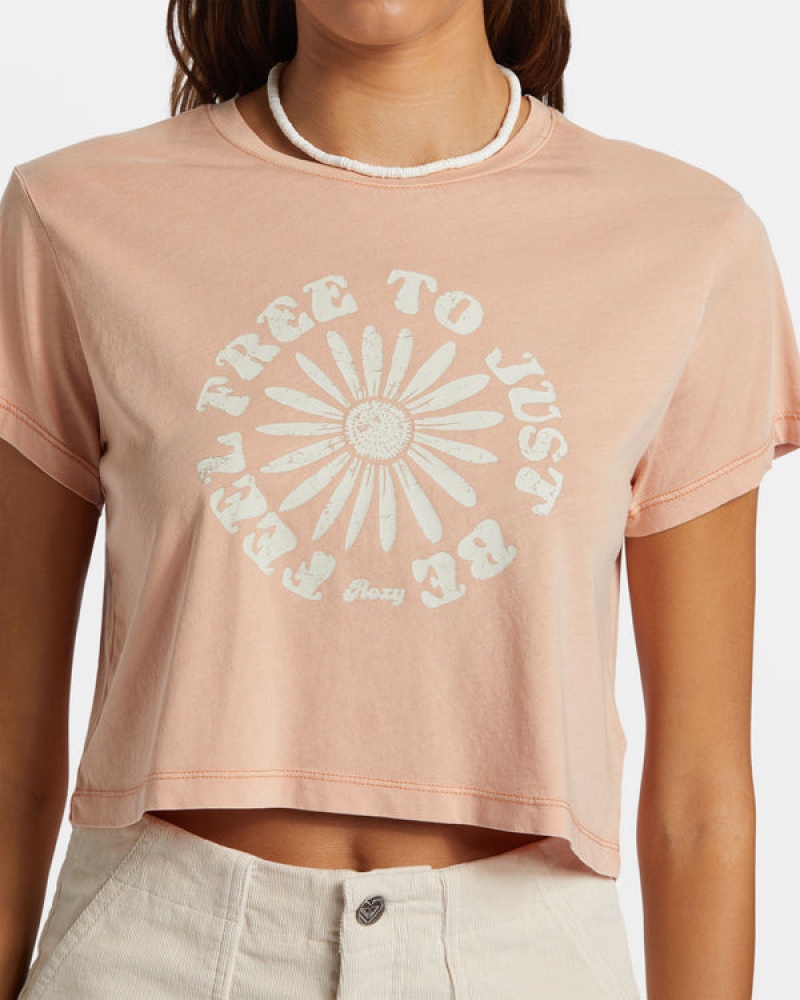 Roxy Feel Free Cropped T-shirts | 96873-ISAP