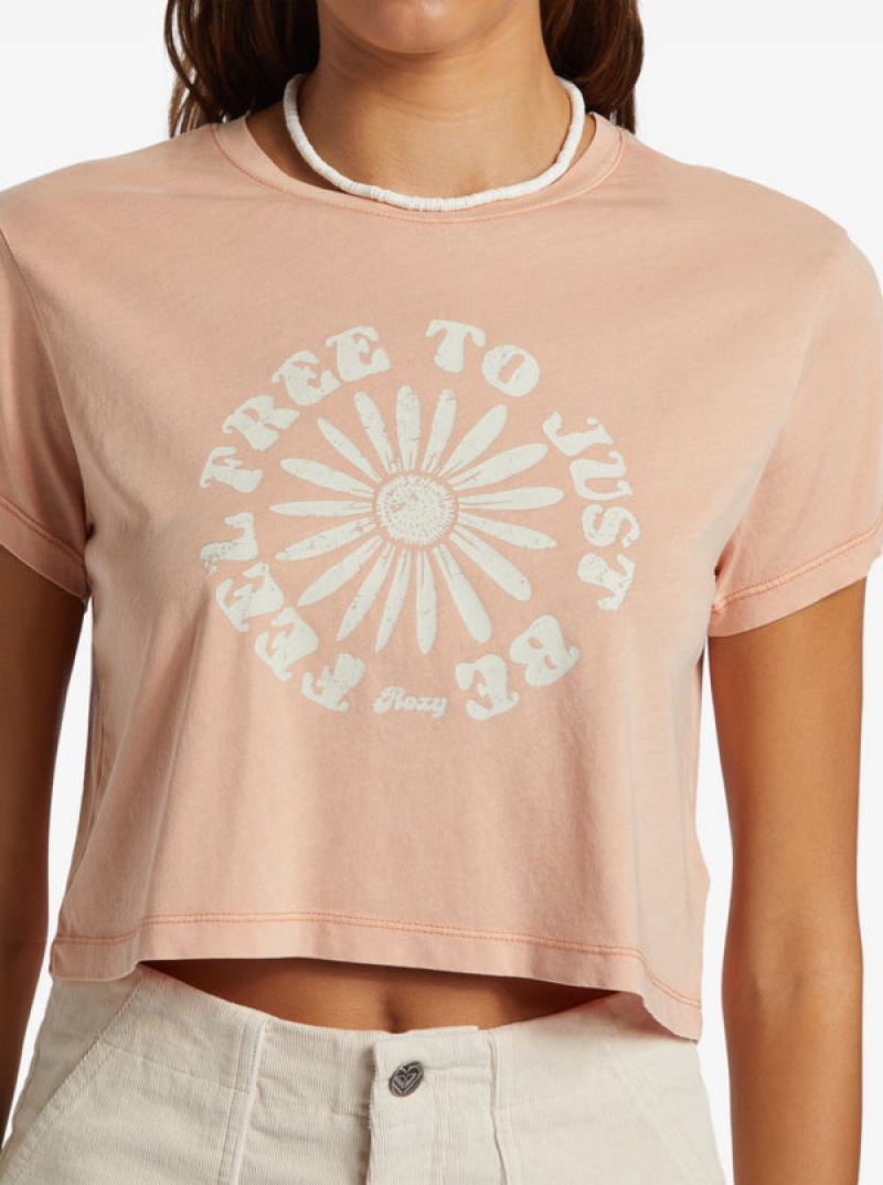 Roxy Feel Free Cropped T-shirts | 96873-ISAP