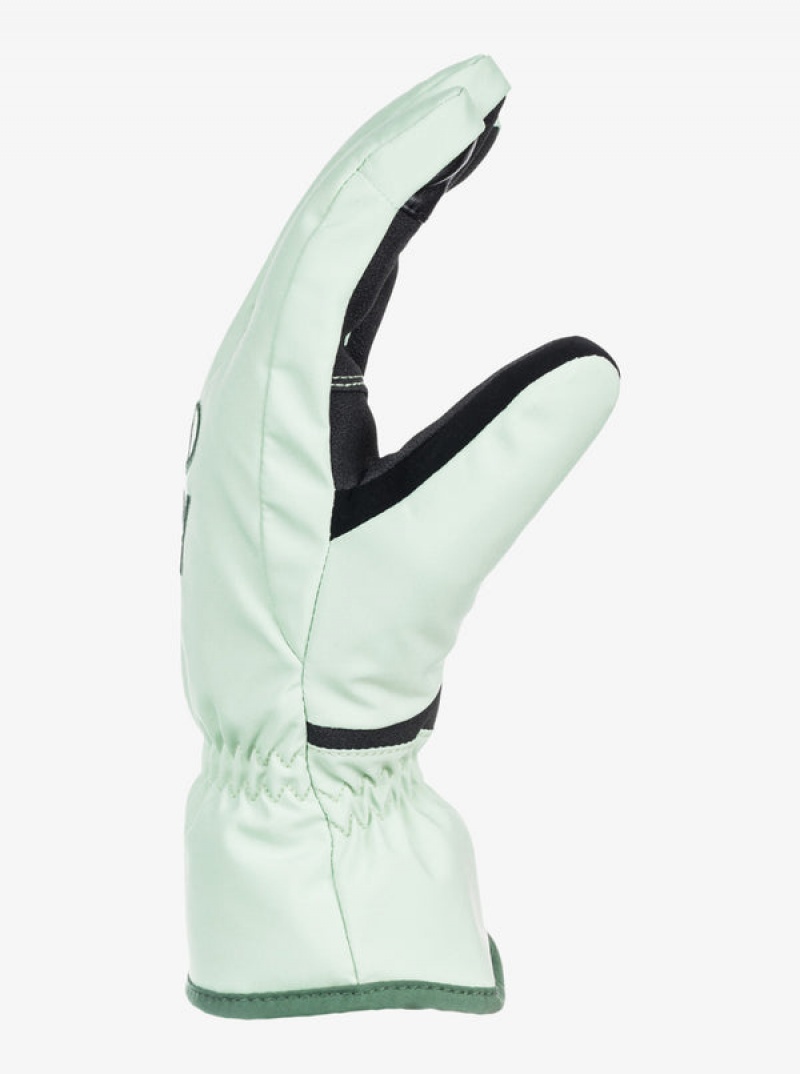 Roxy Freshfield Technicalboard/Ski Gloves | 23769-PYZL