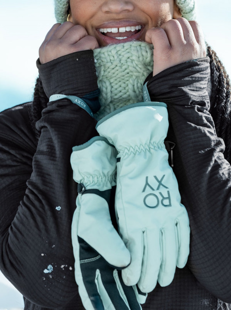 Roxy Freshfield Technicalboard/Ski Gloves | 23769-PYZL