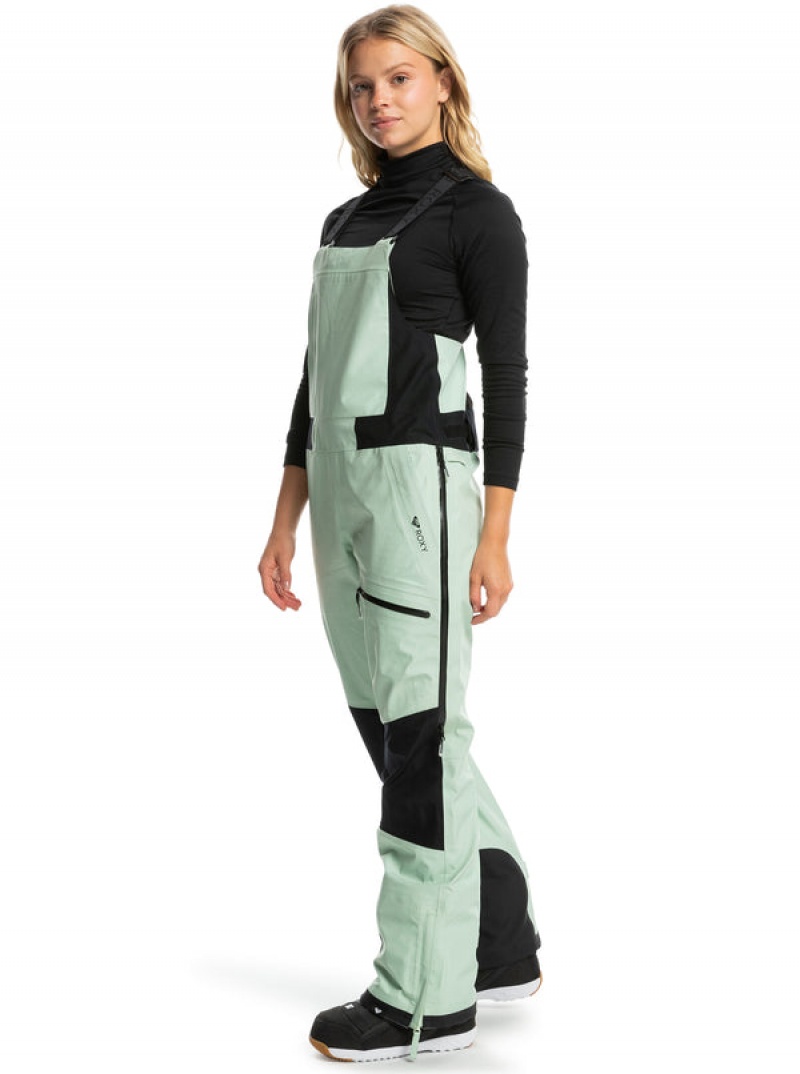 Roxy GORE-TEX® Lunalite 3L Technical Bib Snowboard Pants | 42538-PSOT