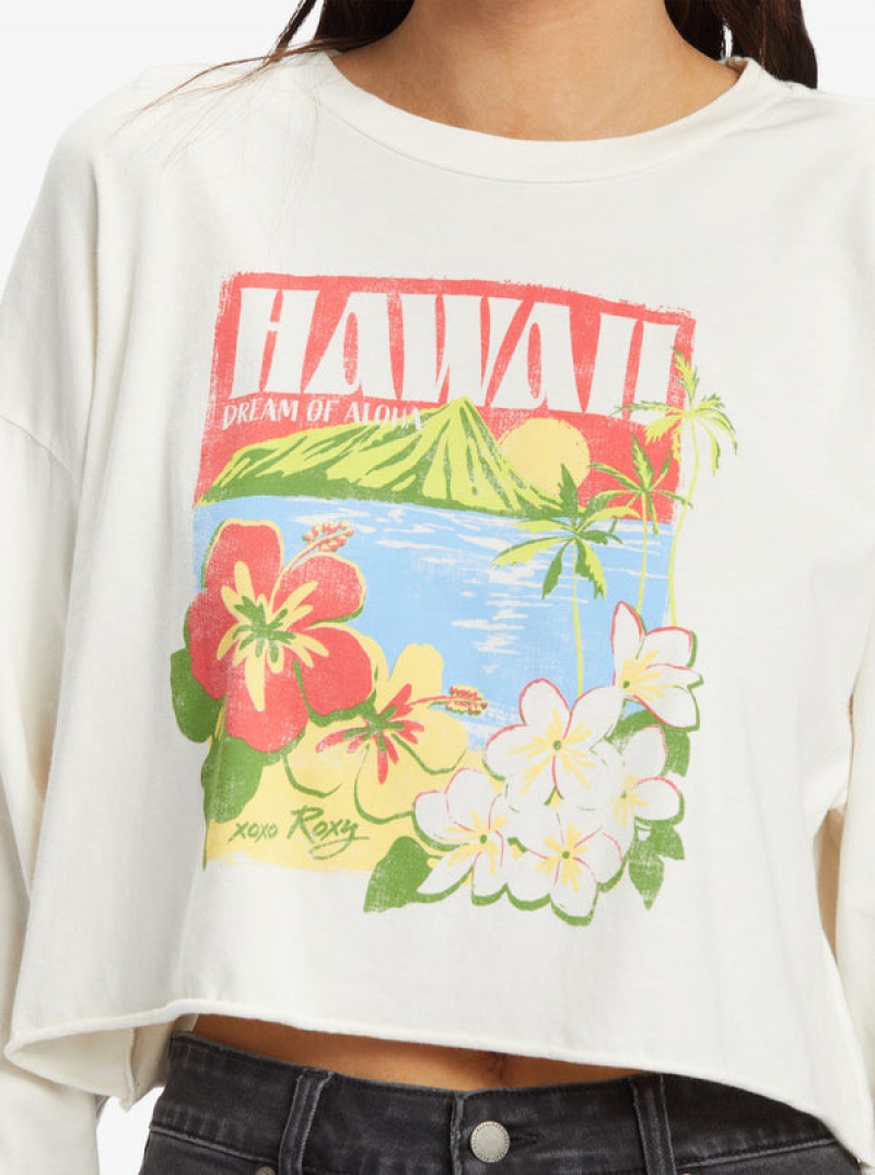 Roxy Hawaiian Vacay Olsc T-shirts | 28514-XUYR