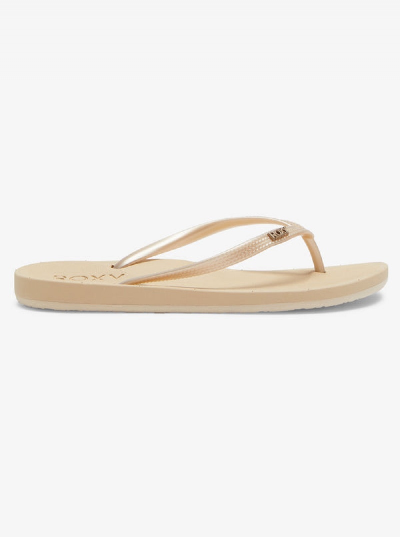 Roxy Jettie Flip Flops | 49876-TSYJ