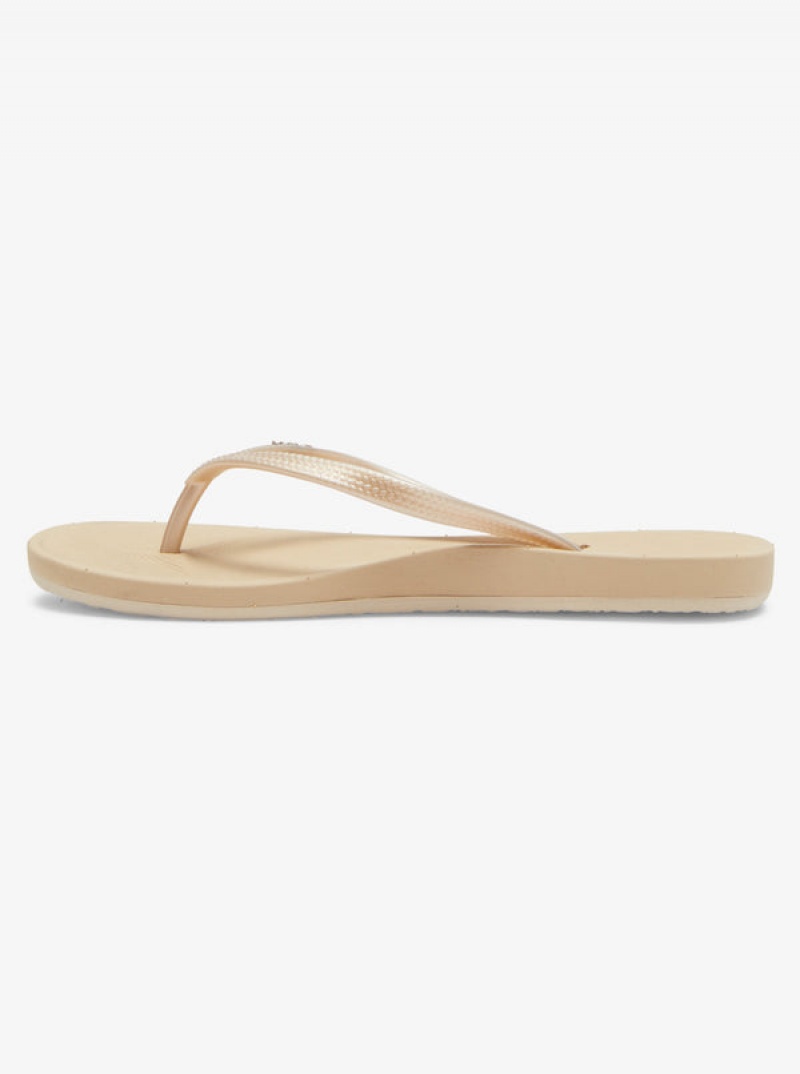 Roxy Jettie Flip Flops | 49876-TSYJ