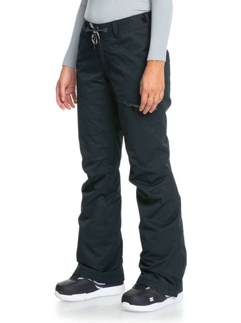 Roxy Nadia Technical Snowboard Pants | 15084-GOBI