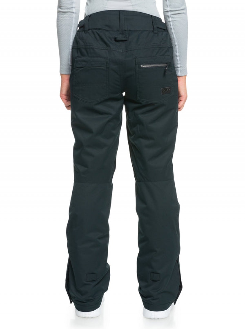 Roxy Nadia Technical Snowboard Pants | 15084-GOBI