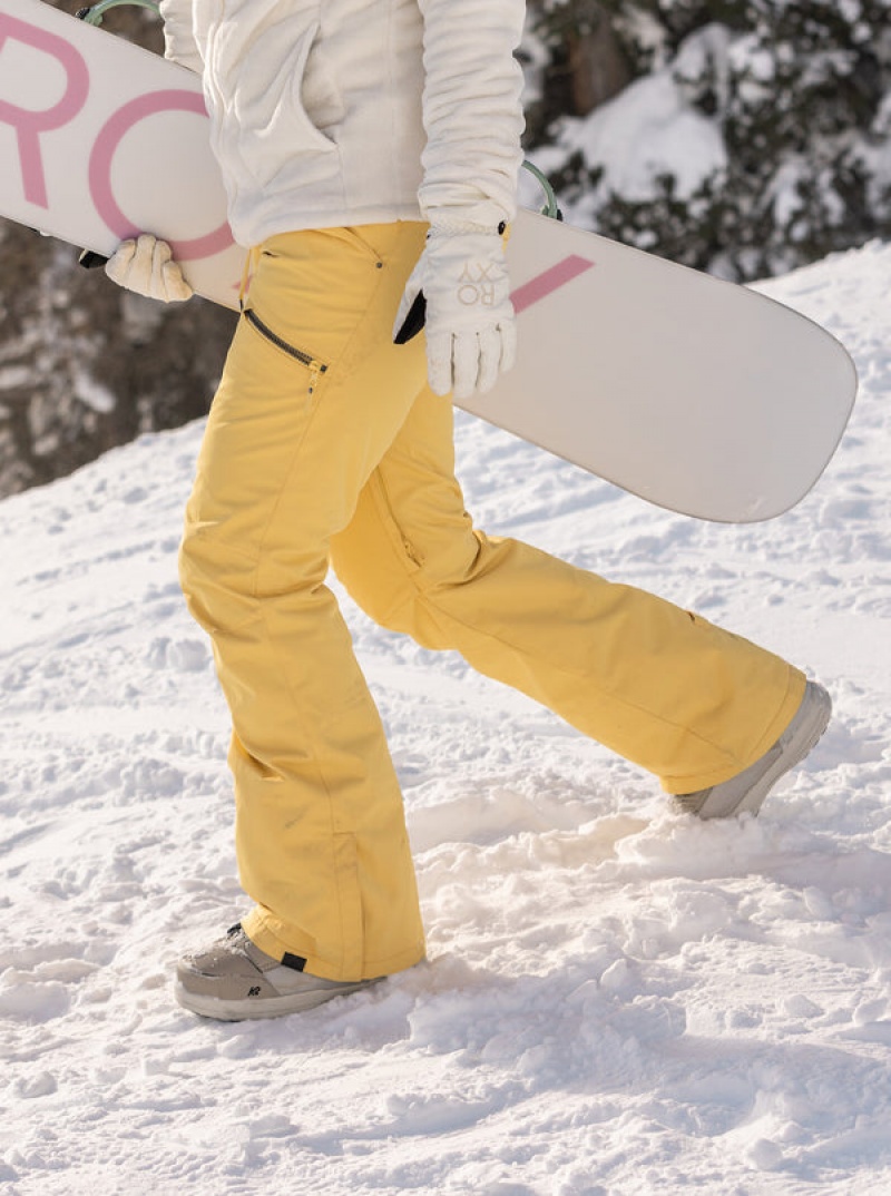 Roxy Nadia Technical Snowboard Pants | 57084-QTYV