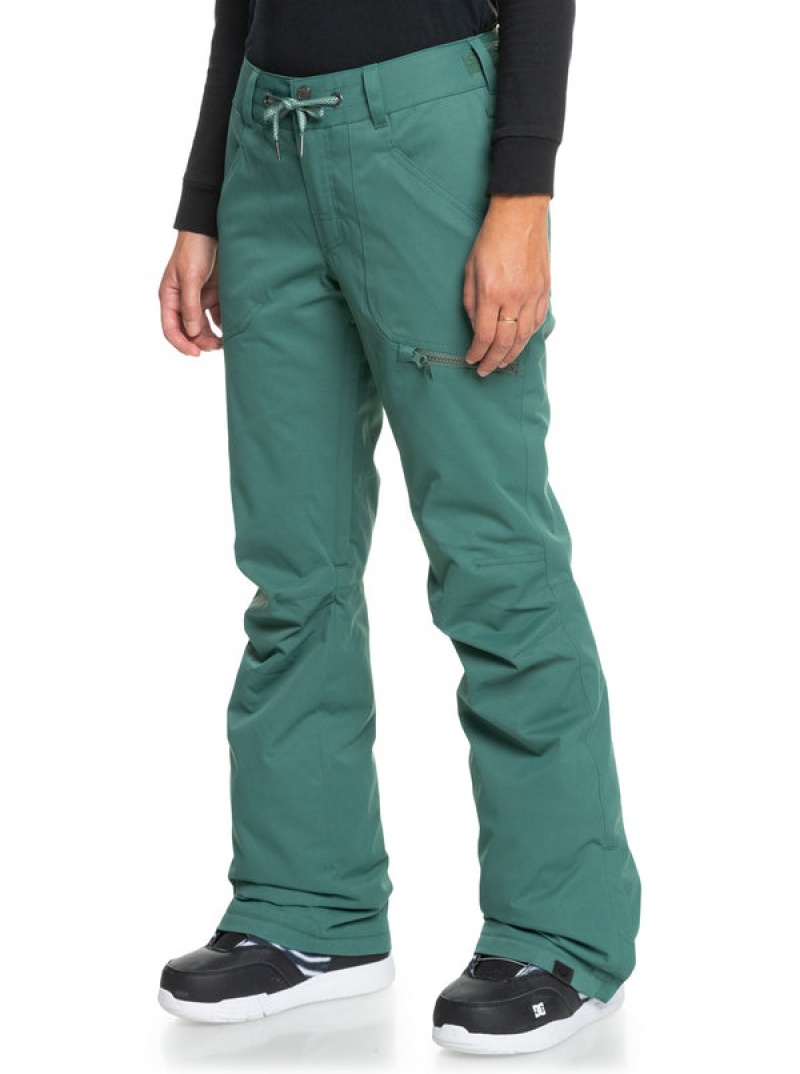 Roxy Nadia Technical Snowboard Pants | 71952-DMJQ