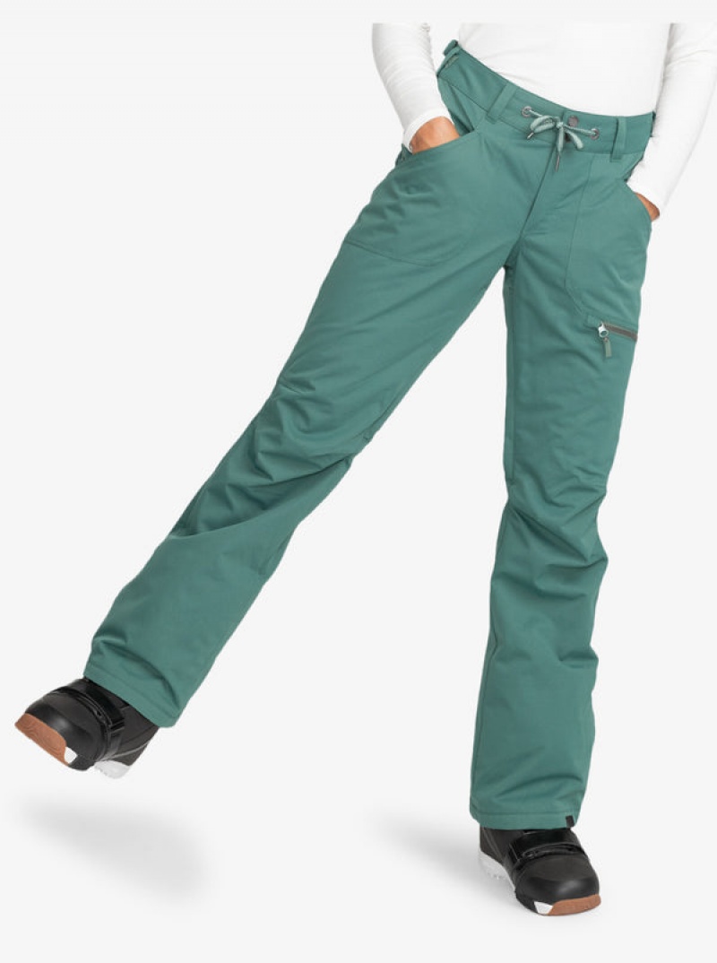 Roxy Nadia Technical Snowboard Pants | 71952-DMJQ