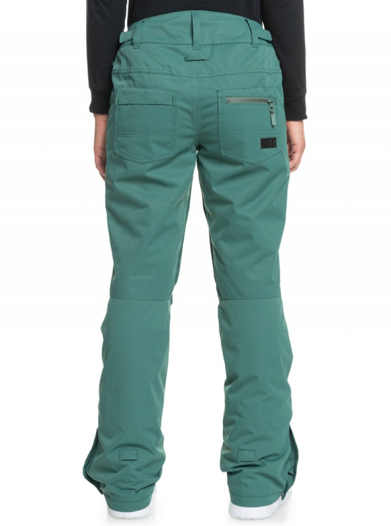 Roxy Nadia Technical Snowboard Pants | 71952-DMJQ