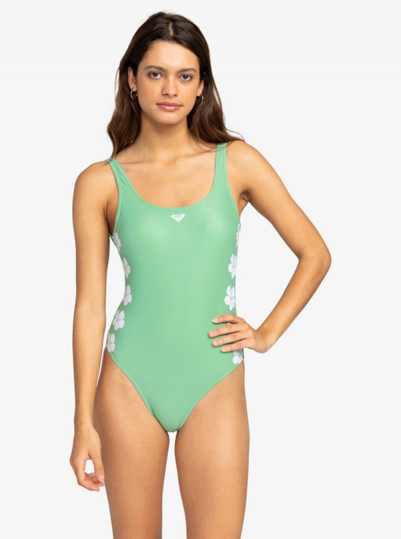 Roxy OG One-Piece Swimsuits | 82046-JXGS