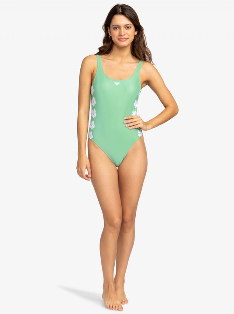 Roxy OG One-Piece Swimsuits | 82046-JXGS