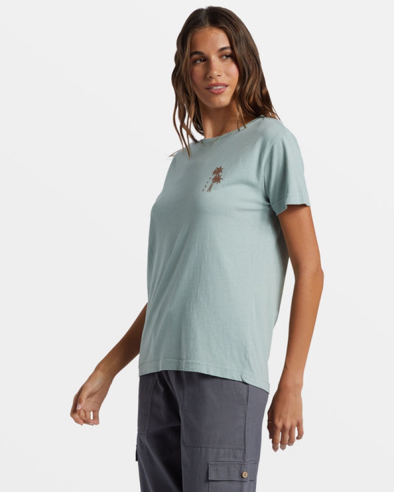 Roxy Palm Springs Boyfriend T-shirts | 75018-UEPQ