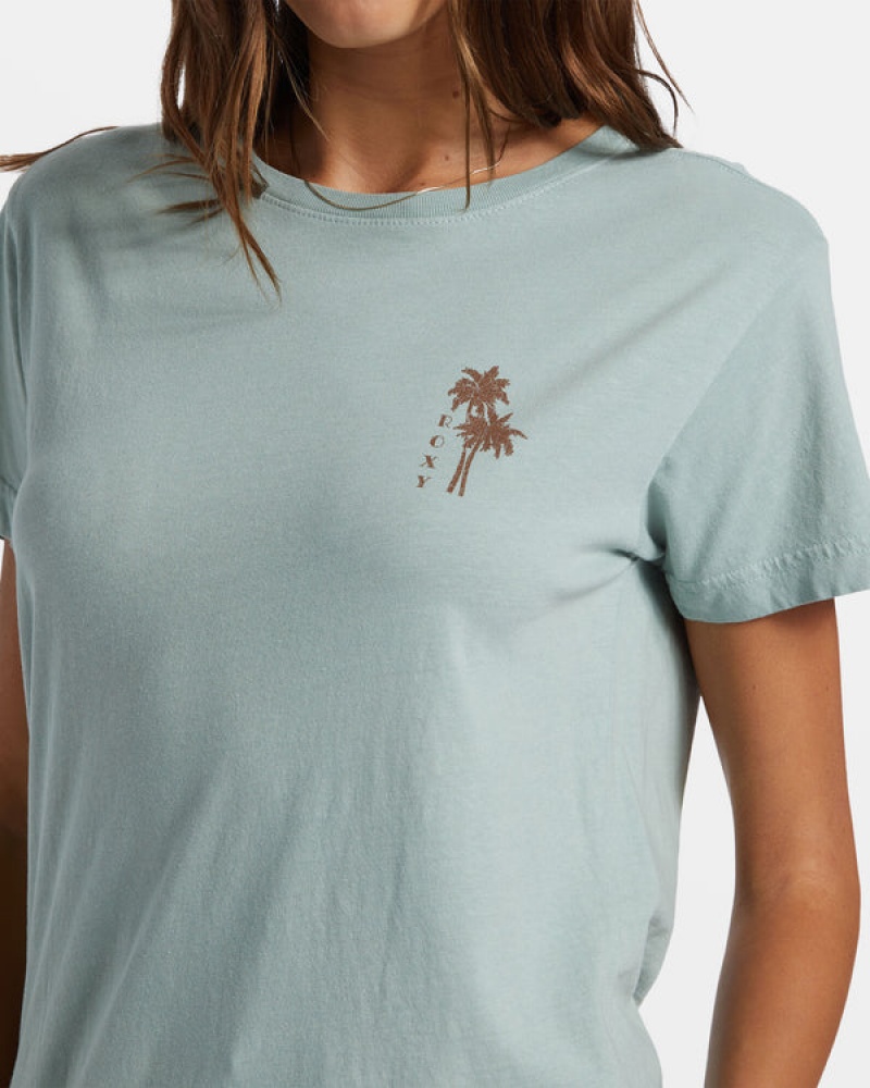 Roxy Palm Springs Boyfriend T-shirts | 75018-UEPQ