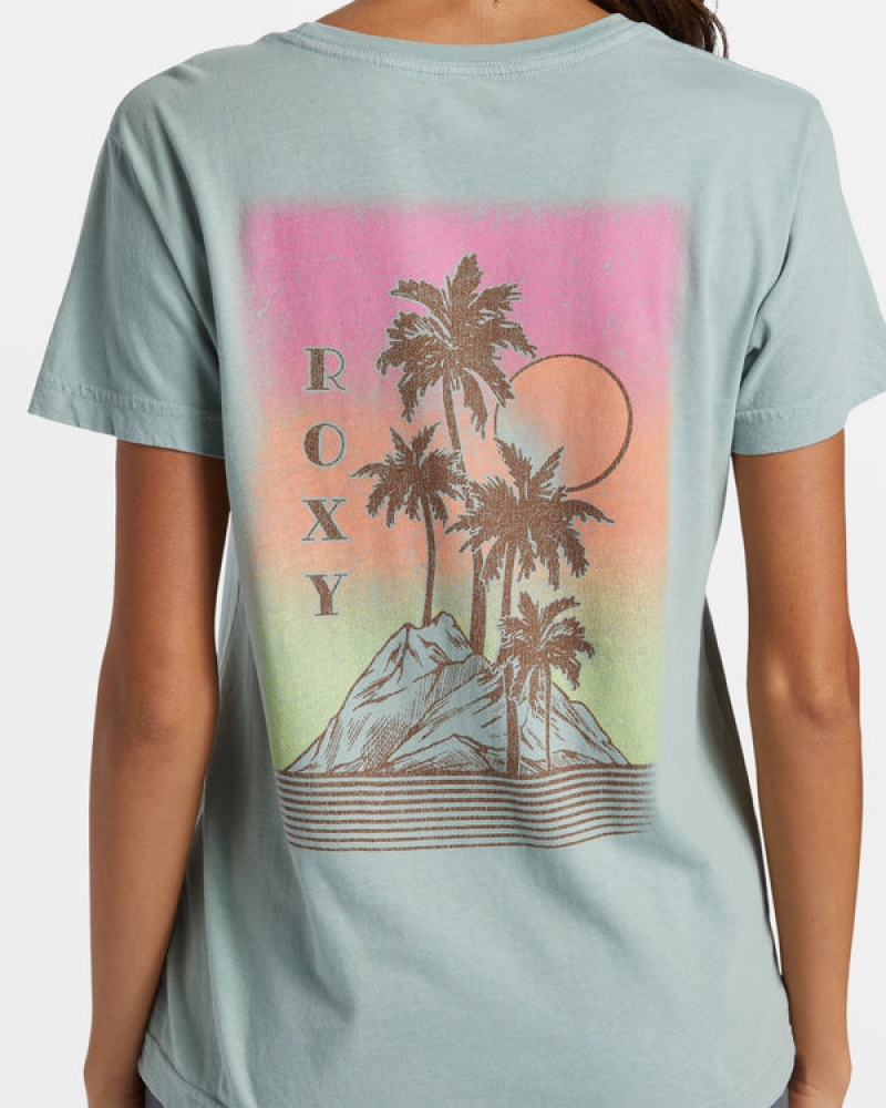 Roxy Palm Springs Boyfriend T-shirts | 75018-UEPQ