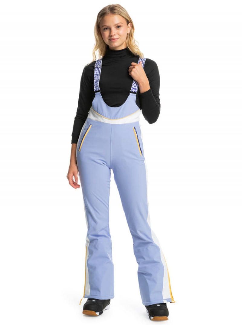 Roxy Peak Chic Technical Bib Snowboard Pants | 15482-EYMO