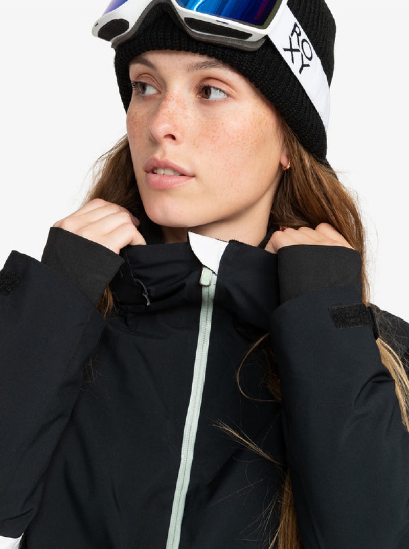 Roxy Peakside Technical Snowboard Jackets | 46092-YZEV