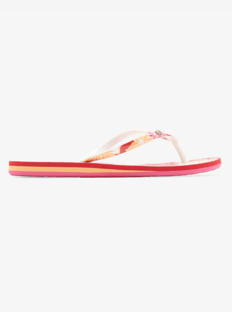 Roxy Portofino Flip Flops | 75139-ADHJ