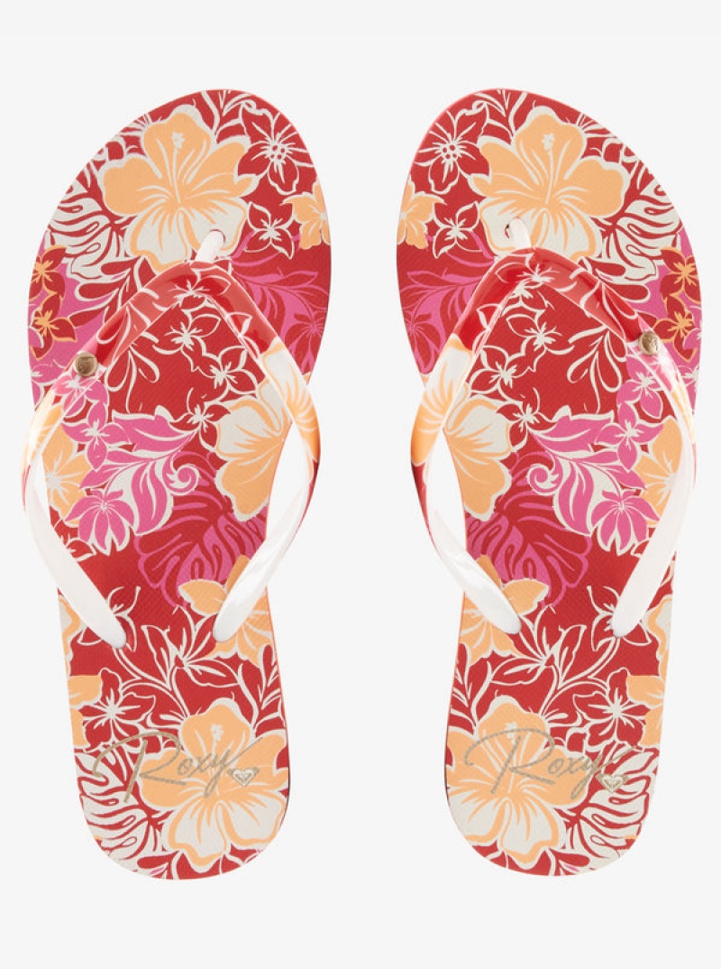 Roxy Portofino Flip Flops | 75139-ADHJ